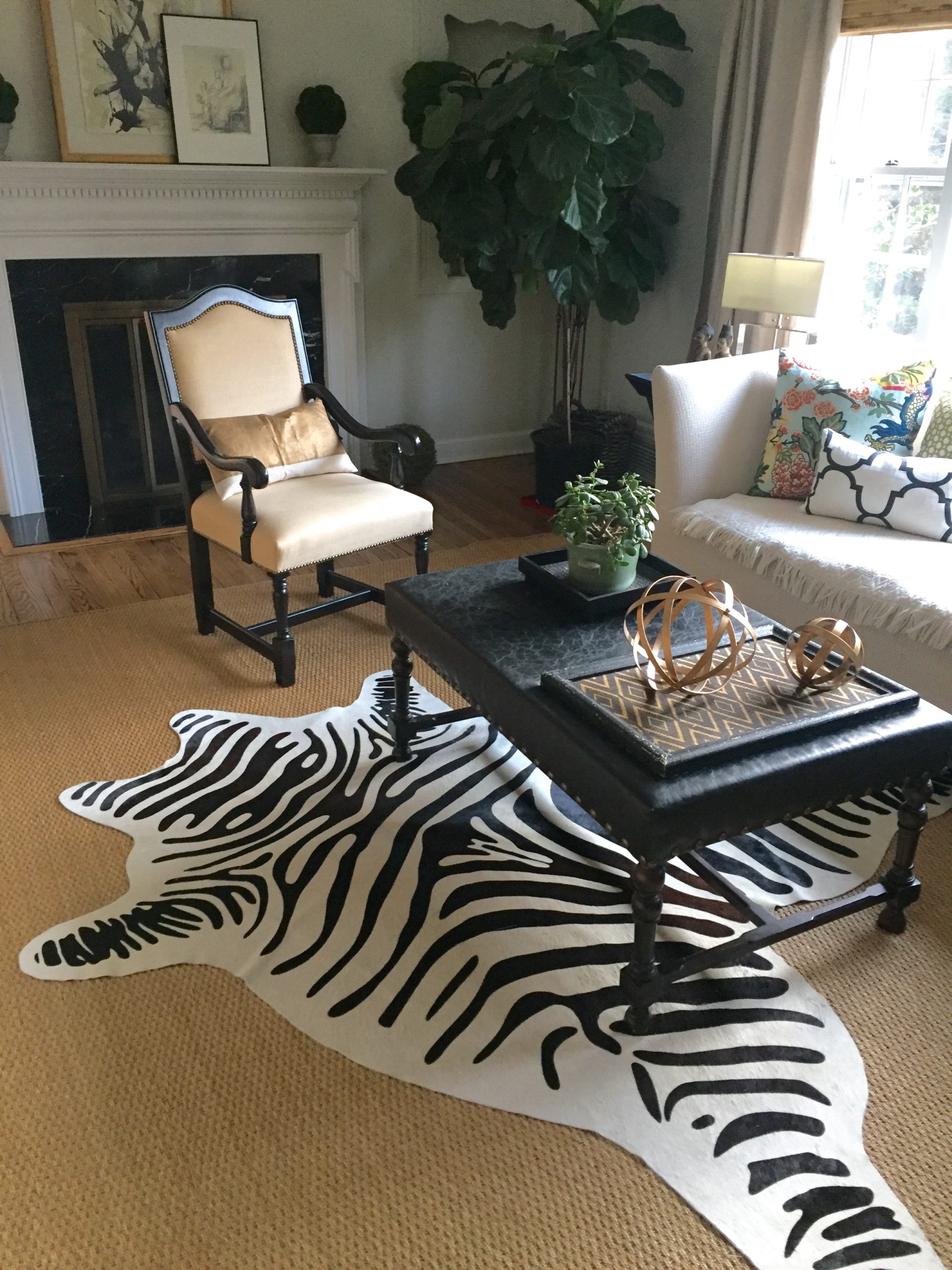 On The Cheap My Hunt For A Zebra Rug Lorri Dyner Design