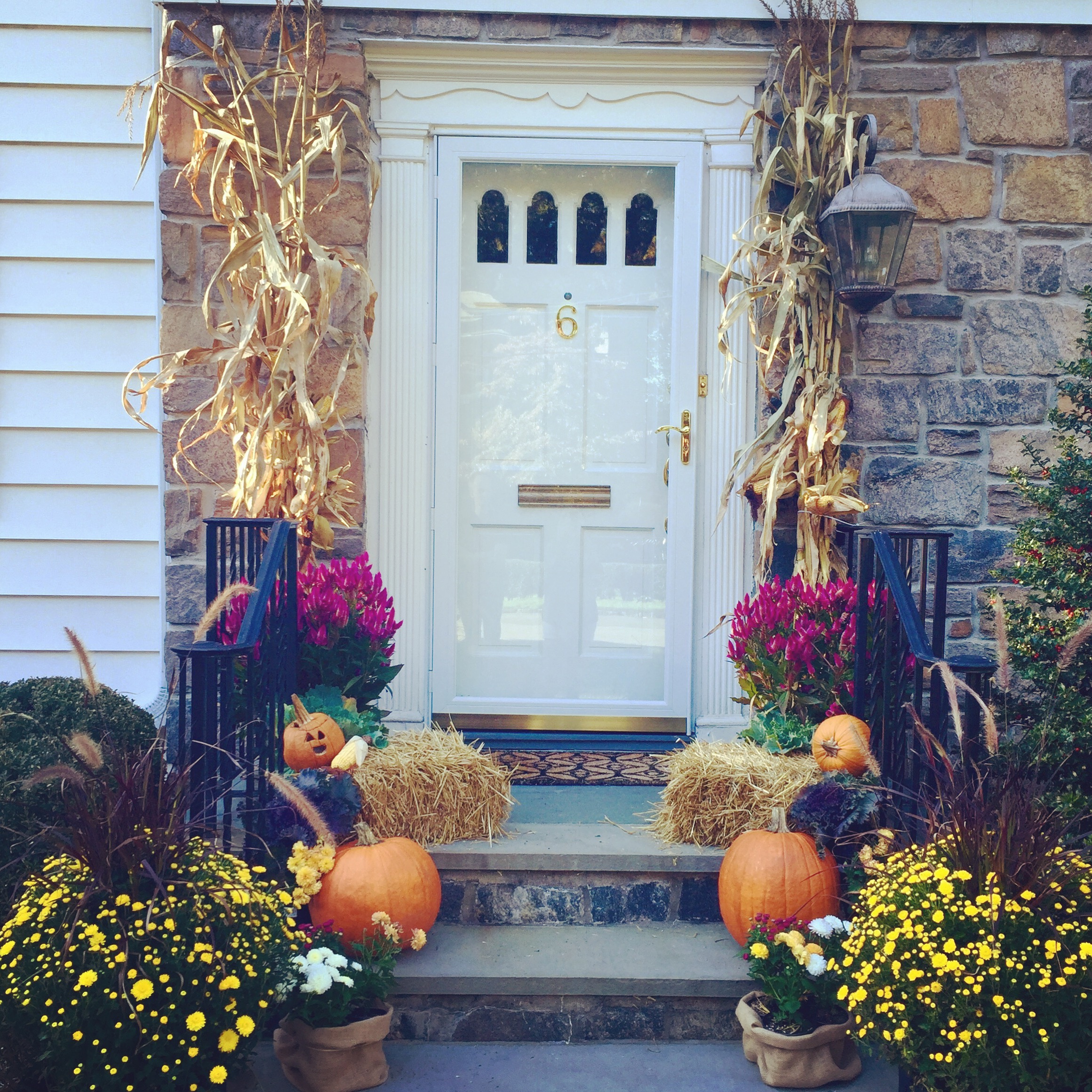 Fall Front Door 2015